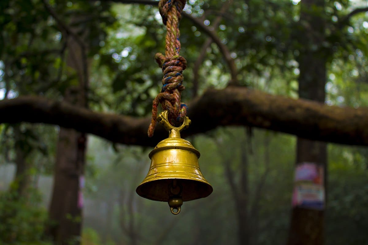 Keine Schnecken und Nagetiere mehr: Dieses einfache Accessoire hat meinen Gemüsegarten gerettet