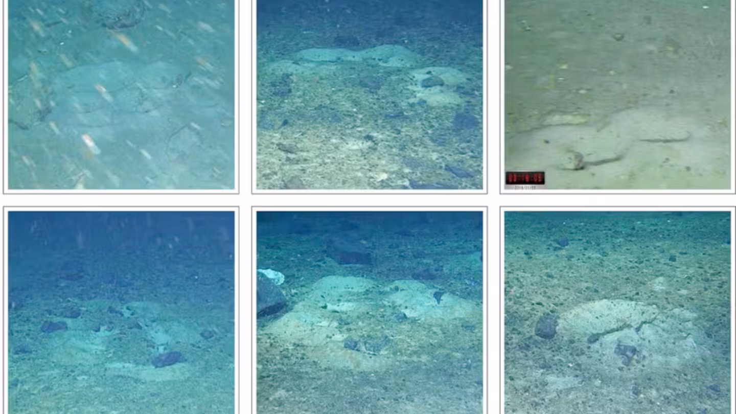 Expedition, die in der Antarktis nach einem Schiff suchte, entdeckte Hunderte von Fischnestern unter einem Eisberg