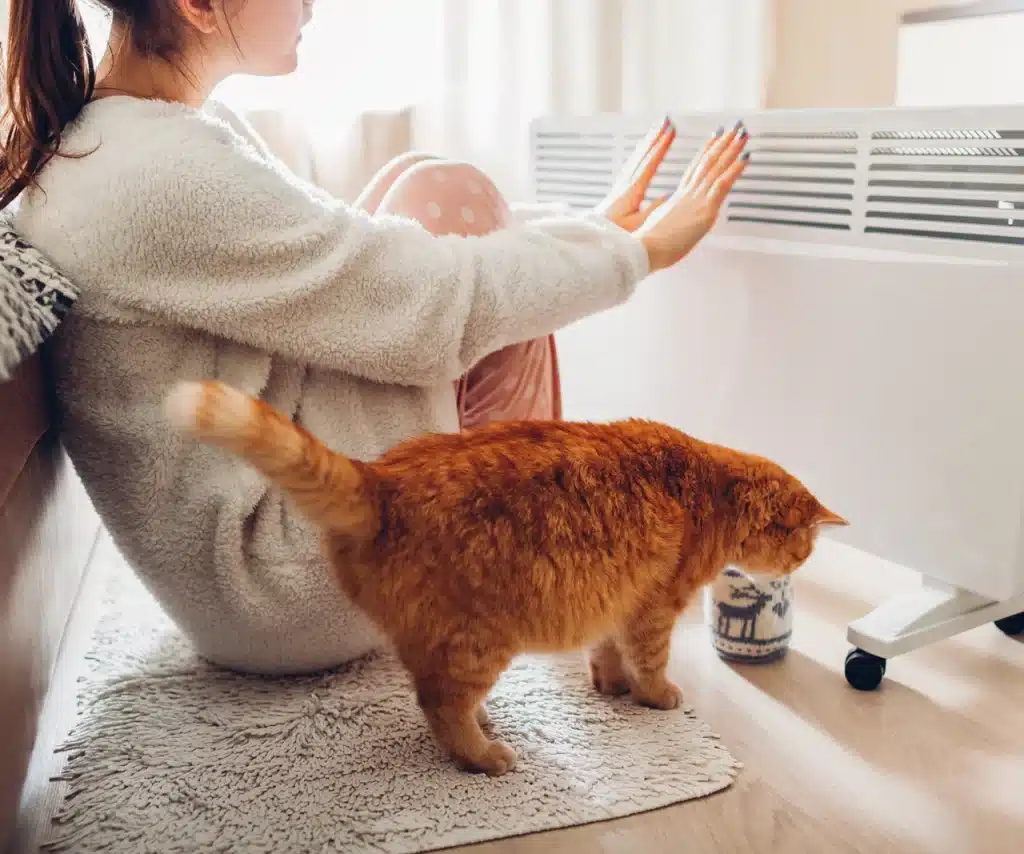 Ich schneide ihn in dicke Scheiben und lege sie jeden Abend auf den warmen Heizkörper. Am Morgen duftet dann die ganze Wohnung wunderbar, und die Hausbewohner wachen besser auf. Ein hausgemachter Duft für den Raum im Winter