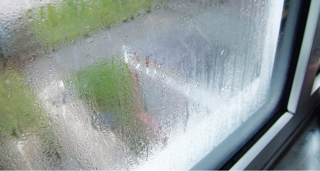 Eine Schüssel mit Salz und ein paar Lorbeerblätter. Das ist die effektivste Methode, um ein weit verbreitetes Winterproblem zu lösen