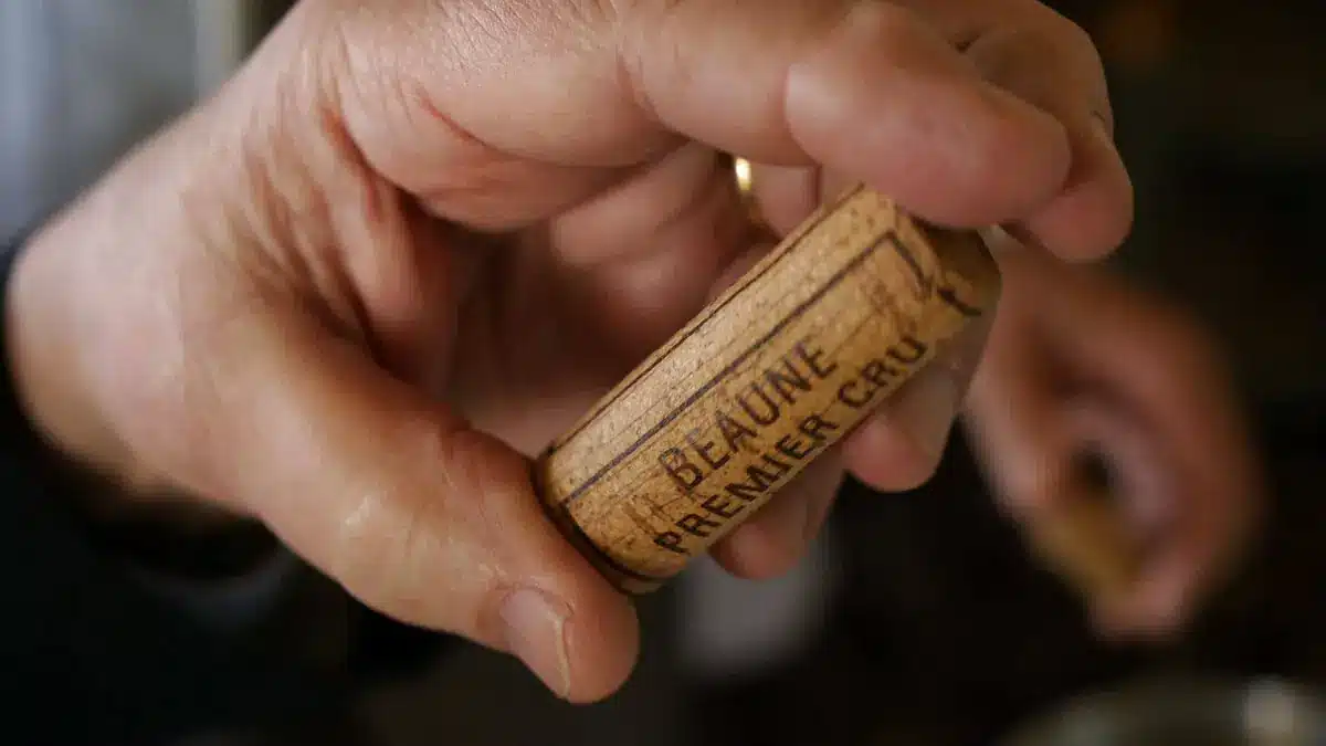 Korken im Kühlschrank – ein einfacher Trick, der Wunder wirken kann