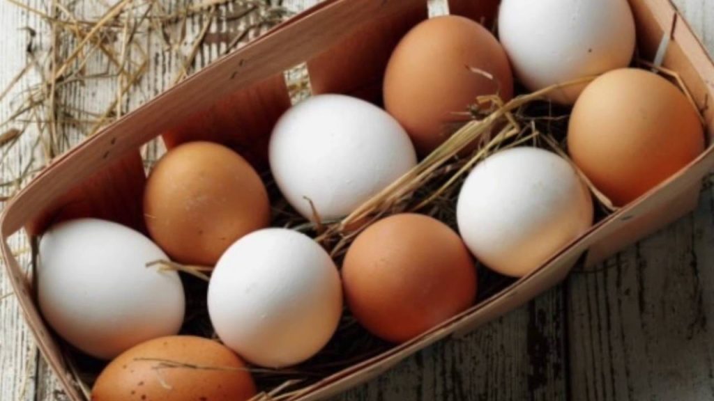 Nur wenige wissen: Was ist der Unterschied zwischen weißen und braunen Eiern?