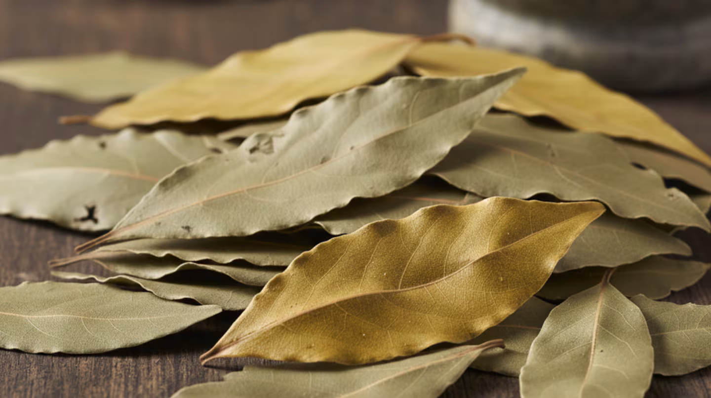 Warum ich Lorbeerblätter auf den warmen Heizkörper und unter mein Kopfkissen lege