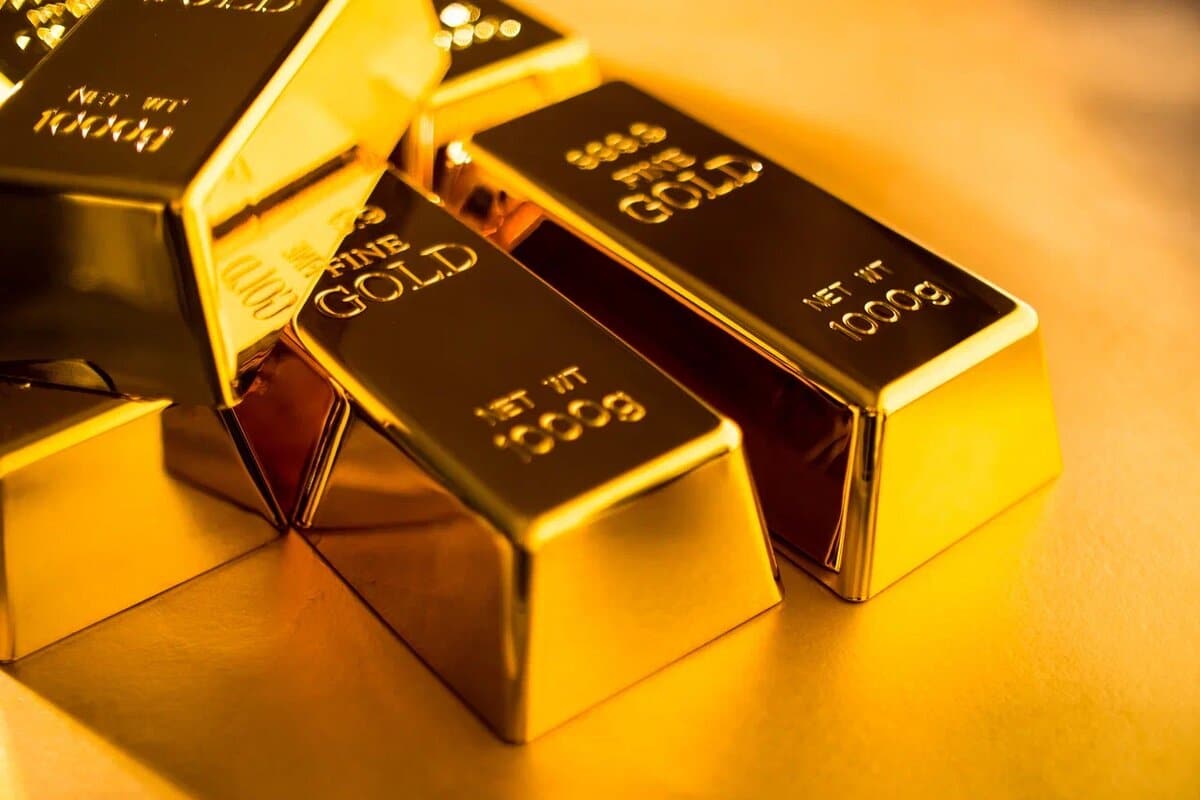 Fund des Jahrhunderts | Auf einem Feld, das einem Land gehört, wurden Münzen und Goldbarren aus der Erde geborgen