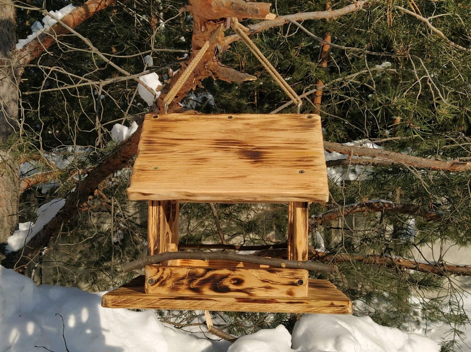 Oft wird über Vogelhäuschen gesprochen, aber selten wird dieser entscheidende Faktor für das Überleben der Vögel im Winter erwähnt.