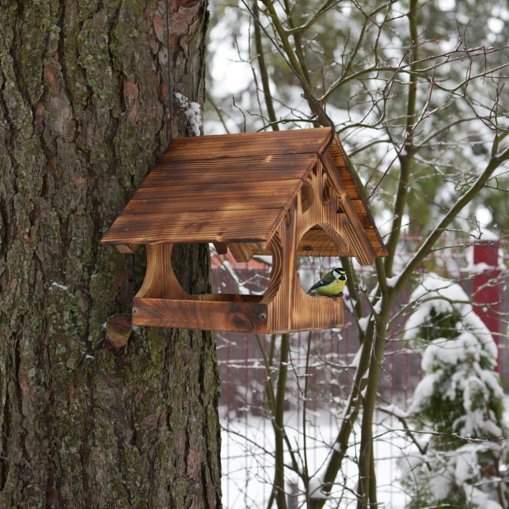 Oft wird über Vogelhäuschen gesprochen, aber selten wird dieser entscheidende Faktor für das Überleben der Vögel im Winter erwähnt.