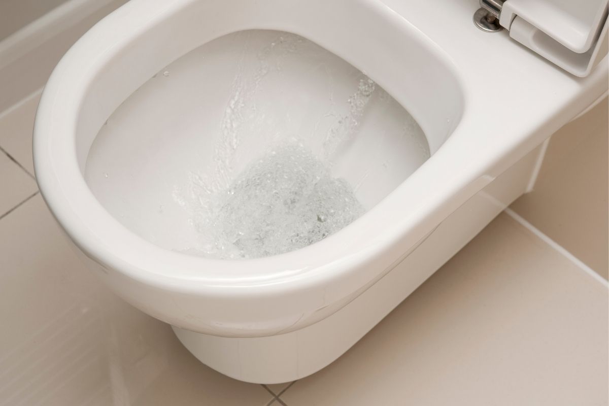 Eine Rolle Toilettenpapier und Essig: ein einfacher Trick, um Kalkablagerungen im WC zu entfernen und es wieder in seinen ursprünglichen Zustand zu versetzen