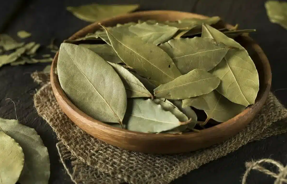 Warum sollte man einen Lorbeerblatt unter das Kopfkissen legen? Was passiert in der Nacht?