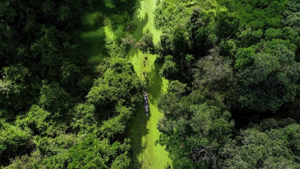 Vídeo com drone destaca beleza do Rio Croa e viraliza nas redes