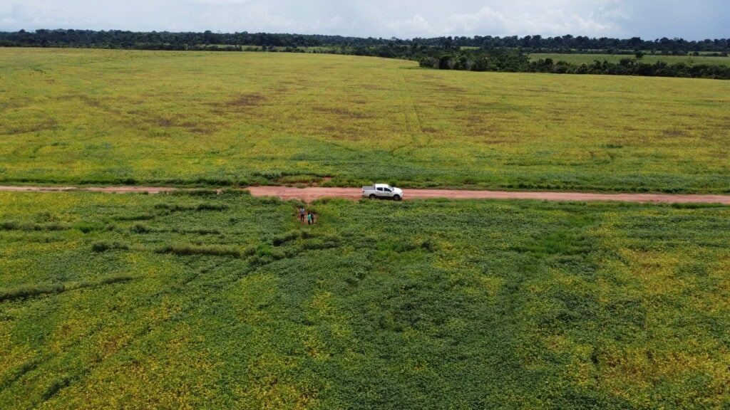 Die landwirtschaftliche Produktion wächst in Acre um 9,2 %, und die Regierung prognostiziert einen Anstieg von 12 % in diesem Sektor