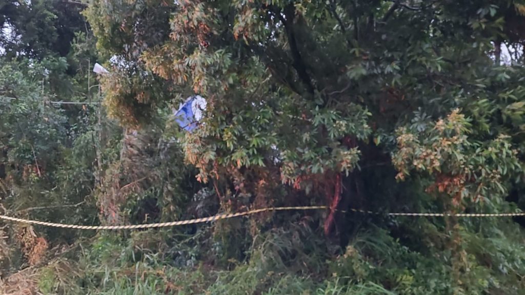 Avião monomotor cai após atingir fiação elétrica durante chuva intensa e piloto morre no acidente