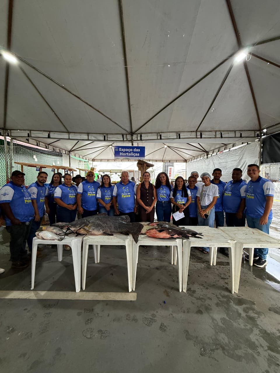 45-Kilo-Fisch gewinnt Wettbewerb auf der Fischmesse in Cruzeiro do Sul