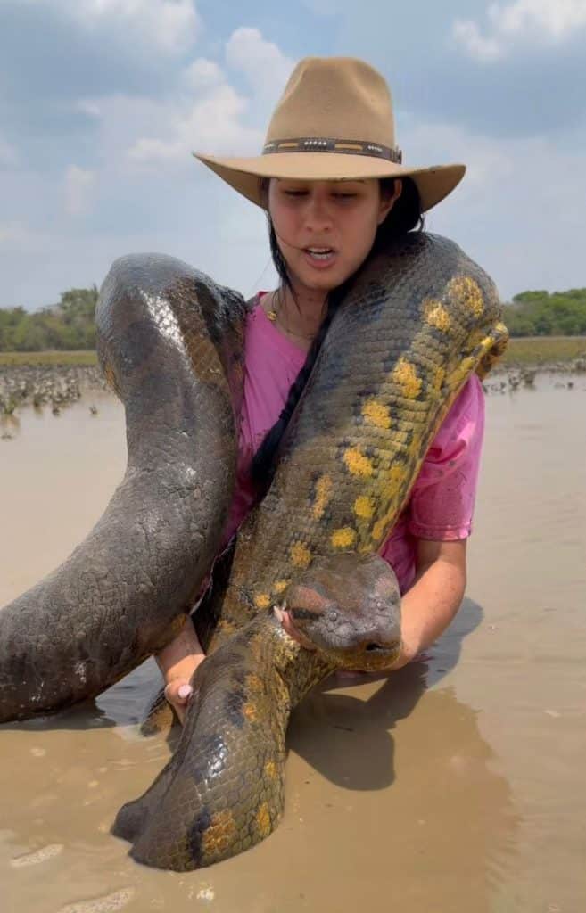 Jovem impressiona com vídeo segurando anaconda gigante