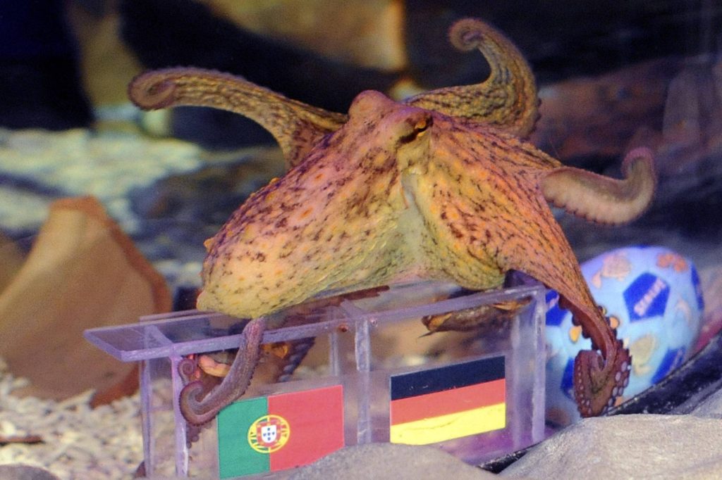 Weltmeisterschaft: KI ersetzt Polvo Paul bei Vorhersagen – 12.06.2026 – Sport